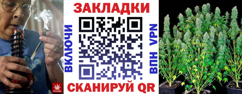 APVP Ковдор