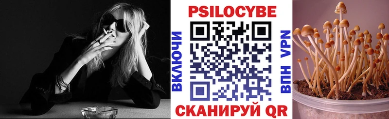 Галлюциногенные грибы Psilocybine cubensis  купить наркоту  Ковдор 